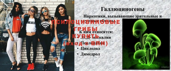 эйфоретик Абинск