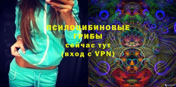 a pvp Абаза