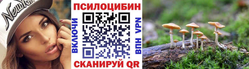 продажа наркотиков  Ленинградская  Псилоцибиновые грибы Magic Shrooms 